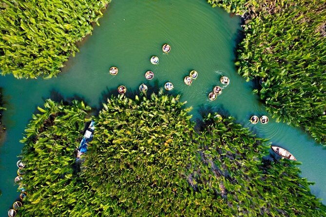 Basket Boat Ride, Coconut Forest, Sunset and Hoi An Town by Night - Practical Insights and Value