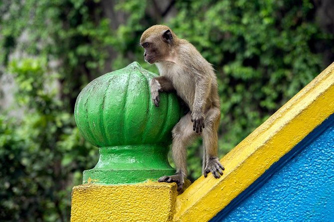 Batu Caves and Watching Fireflies in Kuala Selangor - Practical Details: What You Need to Know