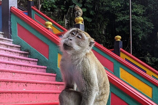 Batu Caves, Waterfalls and Hot Springs Tour With Lunch - The Experience and Its Value