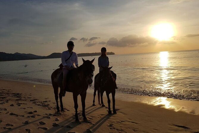Beach Horse Riding At Sunset In Phuket - Final Thoughts: Is It Worth It?