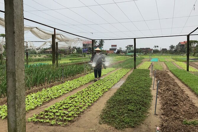 Become a Farmer at Tra Que Vegetable Village included cooking class and Foot Massage - Who Will Love This Experience?