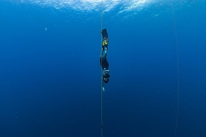 Beginner Freediving Course (with Bonus Session) - The Marine Scenery and Unique Features