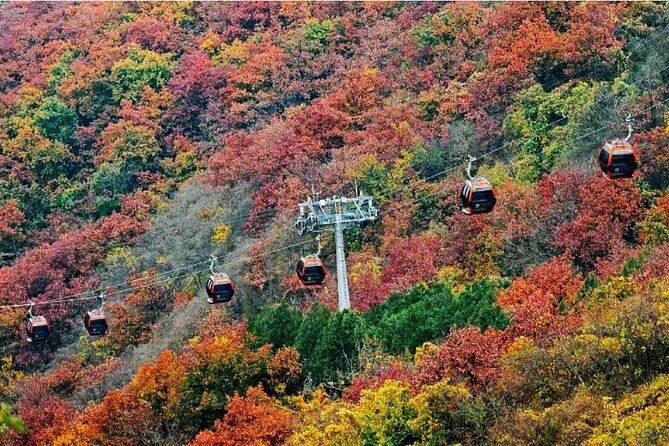 Beijing Great Wall Private Day Tour from Shanghai by Bullet Train - Exploring the Mutianyu Great Wall