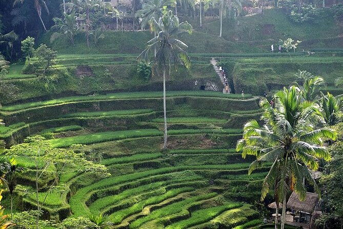Best Bali Day Tour - What’s Included and What’s Not