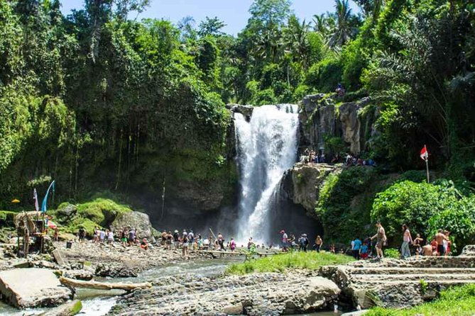 Best of Bali Tour - All Inclusive - What Makes This Tour Stand Out?