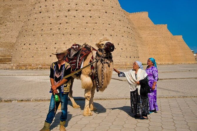 Best of Bukhara: All Day Private Old Town Tour - Transportation and Timing