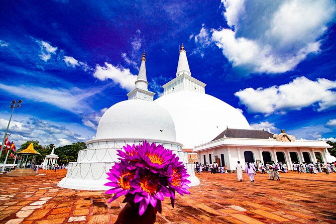 Best of Sri Lanka in two weeks - What Travelers Say: Authentic Insights