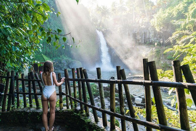 Best of Ubud Attractions: Private All-Inclusive Tour - An In-Depth Look at the Ubud All-Inclusive Tour