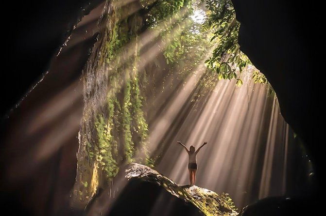 Best Of Ubud : One Day Hidden Waterfall Tour with Tempel - Why This Tour Offers Great Value