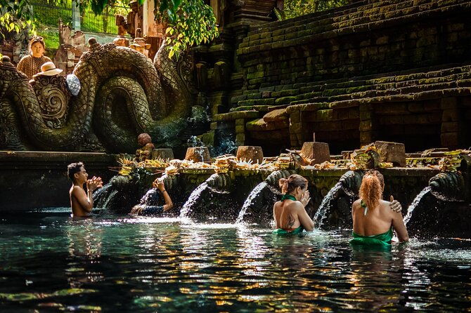 Best of Ubud Private Day Tour - Transport, Guides, and Overall Experience