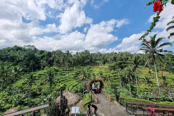 Best of Ubud Private Tour with Jungle Swing Experience - Transportation & Duration
