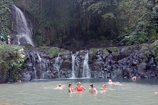 Best of Ubud Scenic Tamansari Waterfall Private Guided Tour - What Makes This Tour Stand Out?