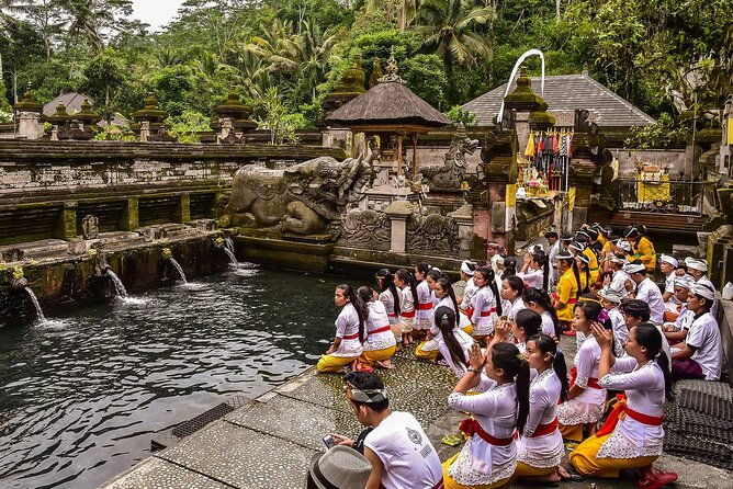 Best of Ubud Tours with Jungle Swing ( All Inclusive ) - The Experience of Transportation and Guides