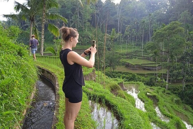 Best of Ubud - Ubud Tour Popular - All Inclusive - What Travelers Love About This Tour