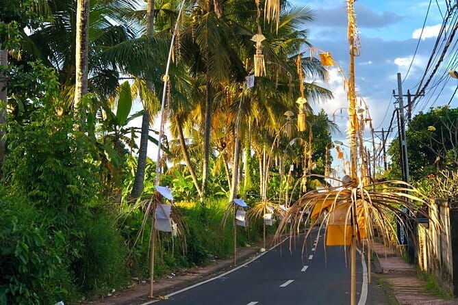 Best Of Ubud Waterfall Swing Private Guided Tour - Authentic Experiences and Practical Considerations