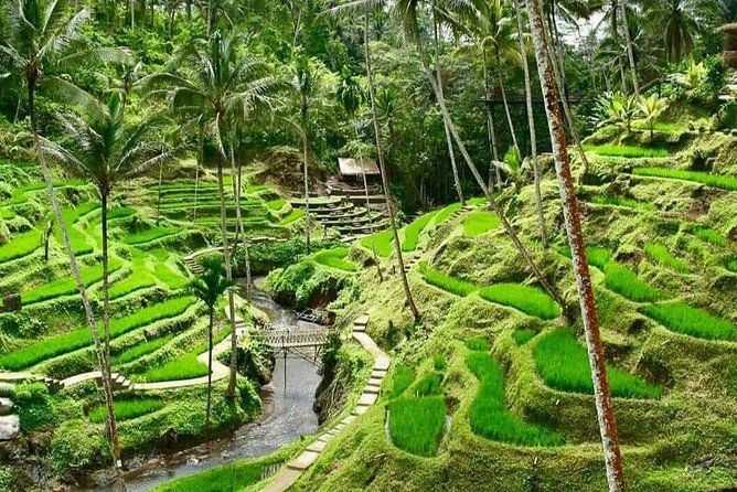 Best of Ubud With Ulu Petanu Waterfall Private Guided Tour - In-depth Review of the Tour