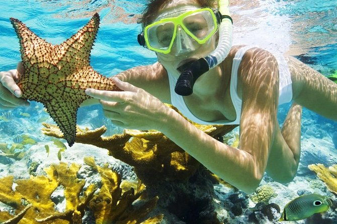 Best Snorkeling Trip at Blue Lagoon Bali - The Practical Details