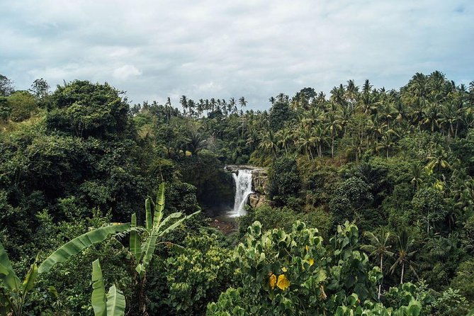 Best Waterfalls of Ubud - Authentic Experiences and Tips from Reviewers