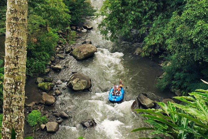 Best White Water Rafting with Lunch and Private Transfer in Bali - Authentic Traveler Experiences