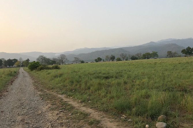 Best Wilderness Experience through Jim Corbett Experience - Authentic Experiences from Reviewers