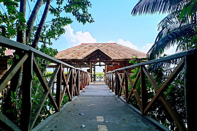 Bintan Mangrove Discovery Tour - Who Would Love This Tour?