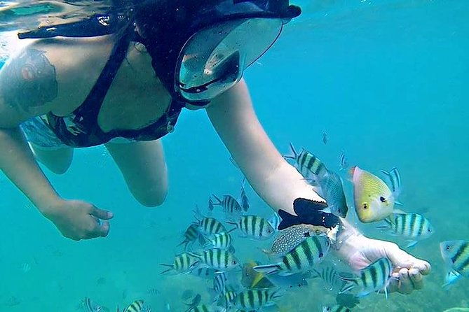 Bintan Snorkeling Tour - Who Will Enjoy This Tour?