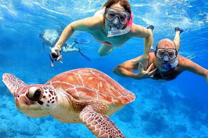 Blow Lagoon Bali Snorkeling and see Bali Bats Cave Temple - A Closer Look at Whats Included and Whats Not