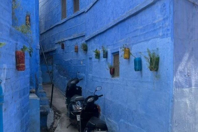Blue city heritage walk - Why Choose the Blue City Heritage Walk?