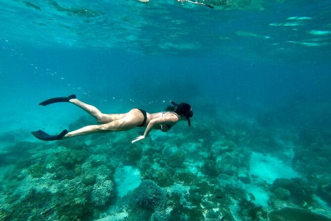 Blue Lagoon Snorkeling and Lunch with Tukad Cepung Waterfall - Final Thoughts: Is This Tour Worth It?
