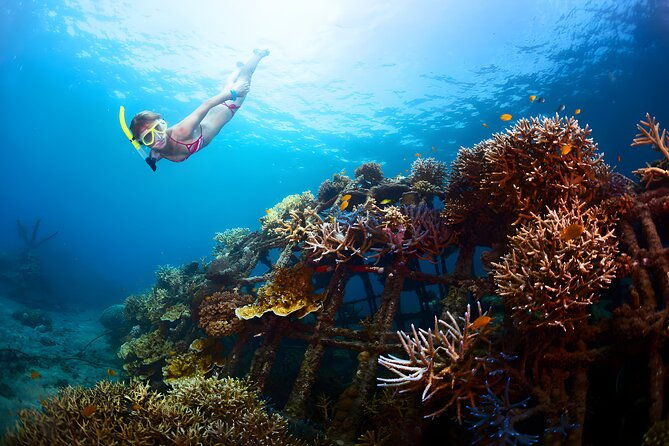 Blue Lagoon Snorkeling - Bali Best Snorkeling Site - The Itinerary: What to Expect on the Day