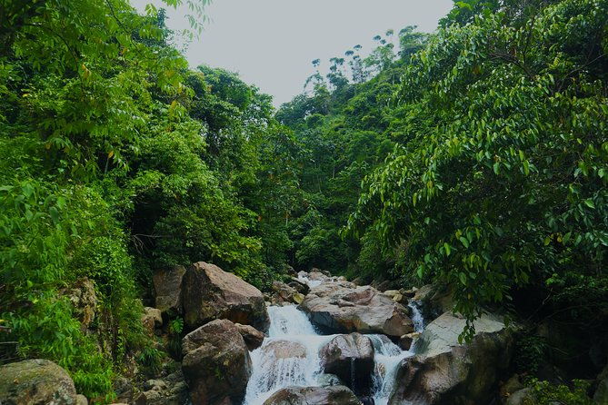 Bogor Botanical Garden & Rainforest Trekking to Hidden Waterfall - Why This Tour Works