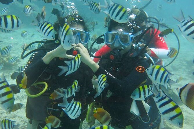 Boracay PADI Discover Scuba Diving - Guides and Support: The Heart of the Experience