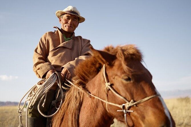 Brief Introduction to Mongol Horse - Who Would Love This Tour?