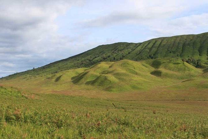 Bromo panorama tour to avoid the crowds - start Malang // 1 day tour - Practical Details: What to Expect