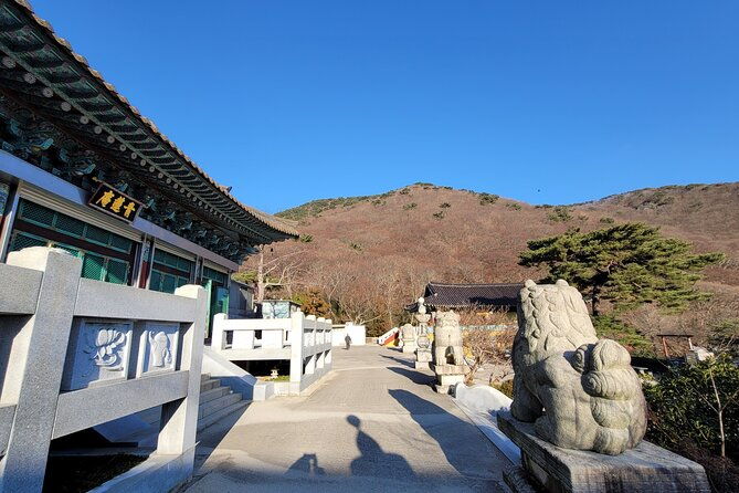 Busan Beomeosa Temple & Hongbeopsa Temple with temple lunch - Price and Value