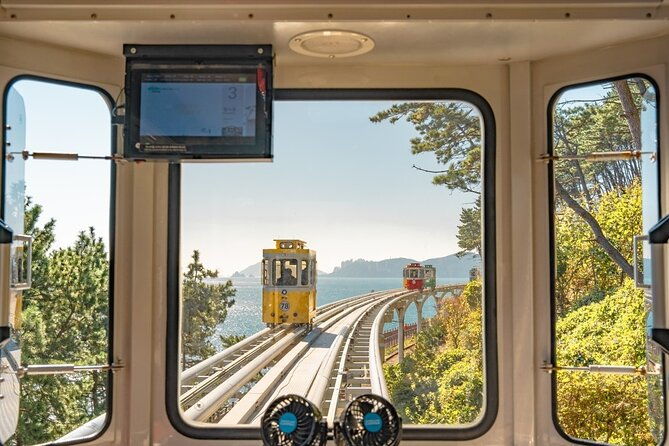 Busan Coastal Charm & Culture: Gamcheon Village & opt Sky Capsule - Authentic Insights from Travelers