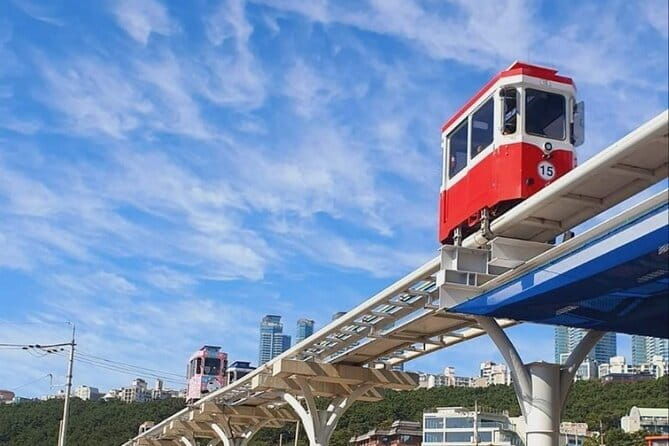 Busan Gyeongju Customizable Private Taxi or Van Tour (up to 8pax) - Transportation & Practical Details