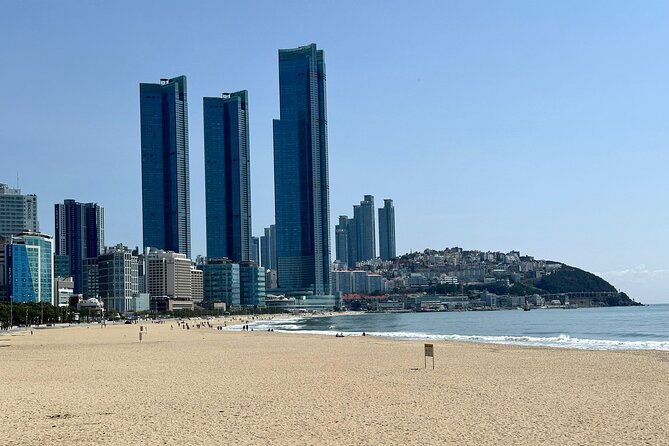 Busan Half-Day Customizable Private Tour in English - The Itinerary: What You’ll See and Do