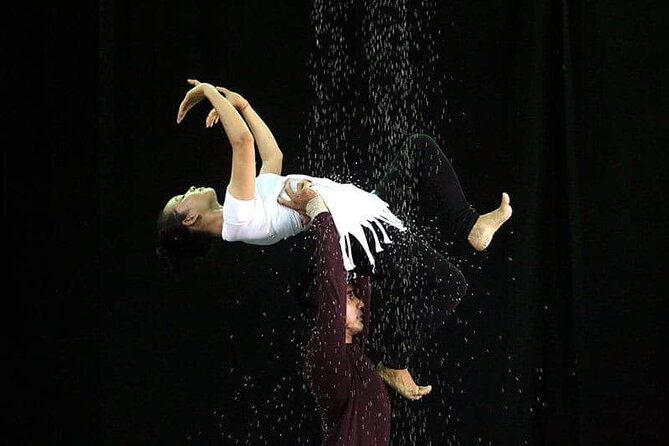 Cambodian Circus Show in Siem Reap by Phare with Hotel Pick-Up - Final Thoughts