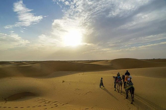 Camel safari in thar desert - Night Under the Stars: A Unique Camping Experience