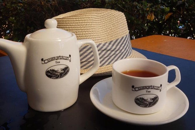 Cameron Highland Best Tour from Ipoh with Lunch ( Day Trip) - The Long Drive and Timing
