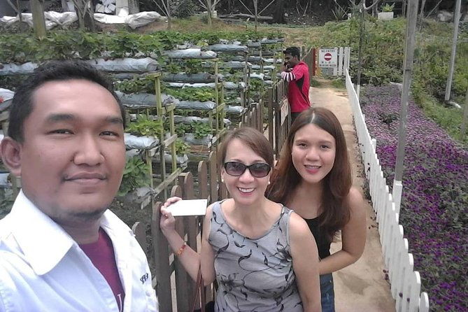 Cameron Highland Day Tour From Kuala Lumpur With Lunch Local food - How the Experience Comes Together