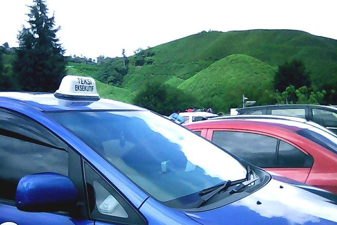 Cameron Highland Private Day Tour - Practical Details and What You Should Know