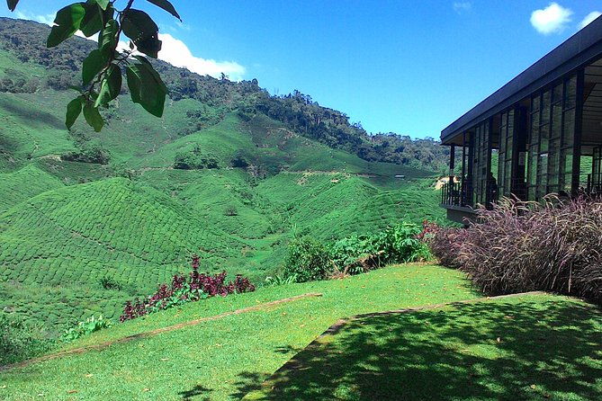 Cameron Highlands 3 Days 2 Night Tours Private (per Vehicle) - Why This Tour Stands Out