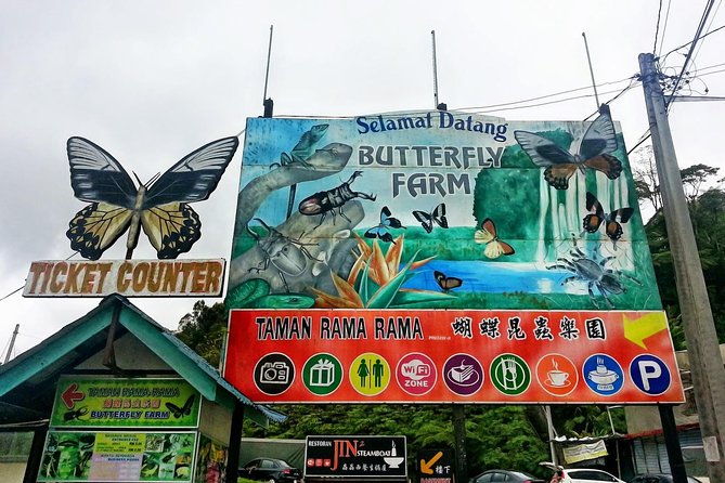 Cameron Highlands Amazing Day Trip Tour with Local Lunch - Stop 2: Cameron Bharat Tea Estate