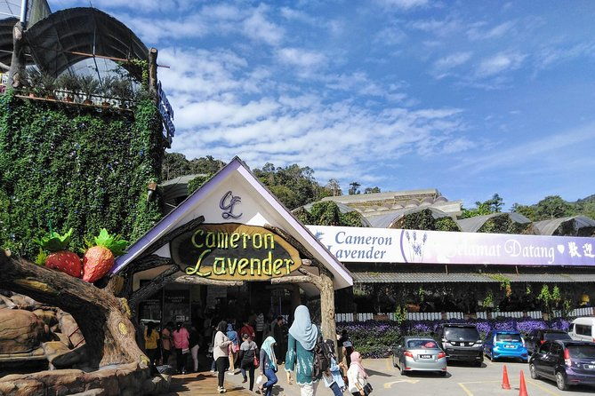 Cameron Highlands Day Trip From Kuala Lumpur - Why This Tour Offers Great Value