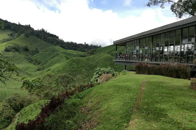 Cameron Highlands, Garden of Nature Full Day Private Guided Tour - The Value of This Cameron Highlands Tour