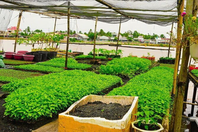 Can Tho Bike Tour in Mekong Delta - What’s Included and What to Keep in Mind