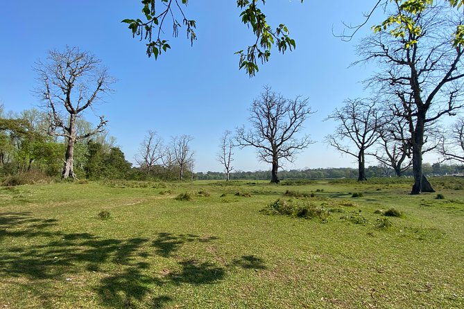 Canoeing and Nature Walk in Chitwan National Park - What You’ll Experience and Why It Matters