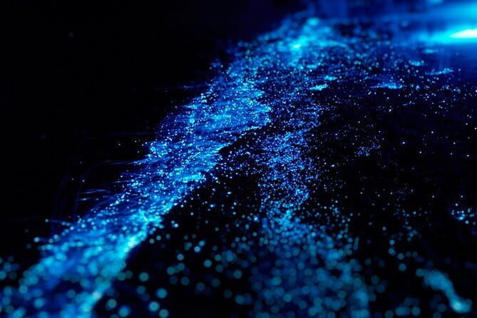Cat Ba: Sunset & Bioluminescent Kayaking on Lan Ha Bay - What Travelers Say